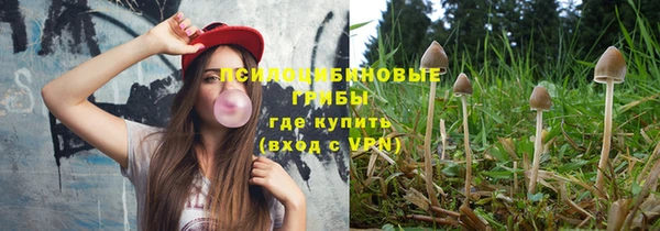 spice Алзамай